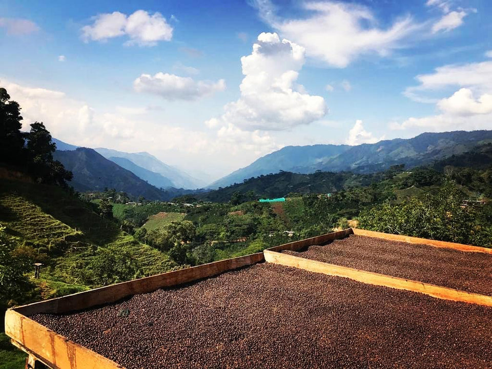Colombia Tolima